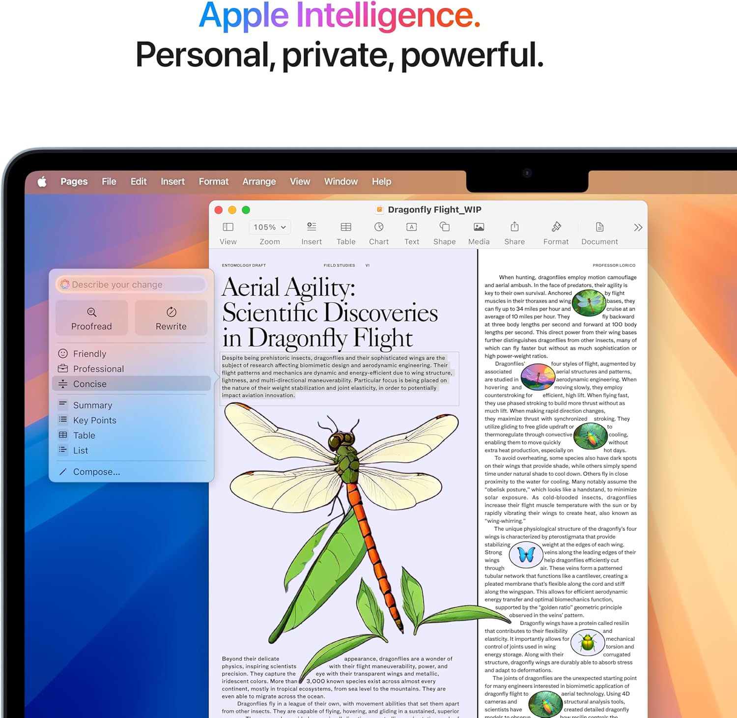 Apple 2025 MacBook Air 13-inch Laptop with M4 chip: Built for Apple Intelligence, 13.6-inch Liquid Retina Display, 16GB Unified Memory, 256GB SSD Storage, 12MP Center Stage Camera, Touch ID; Sky Blue